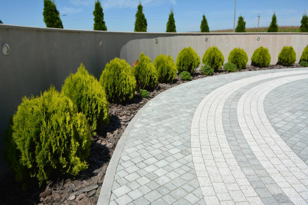 Best Driveway Paving Company  in Double Oak, TX